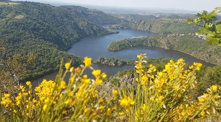 La Fortance Paradis Naturel - Proche De La Ville Planfoy Luaran gambar
