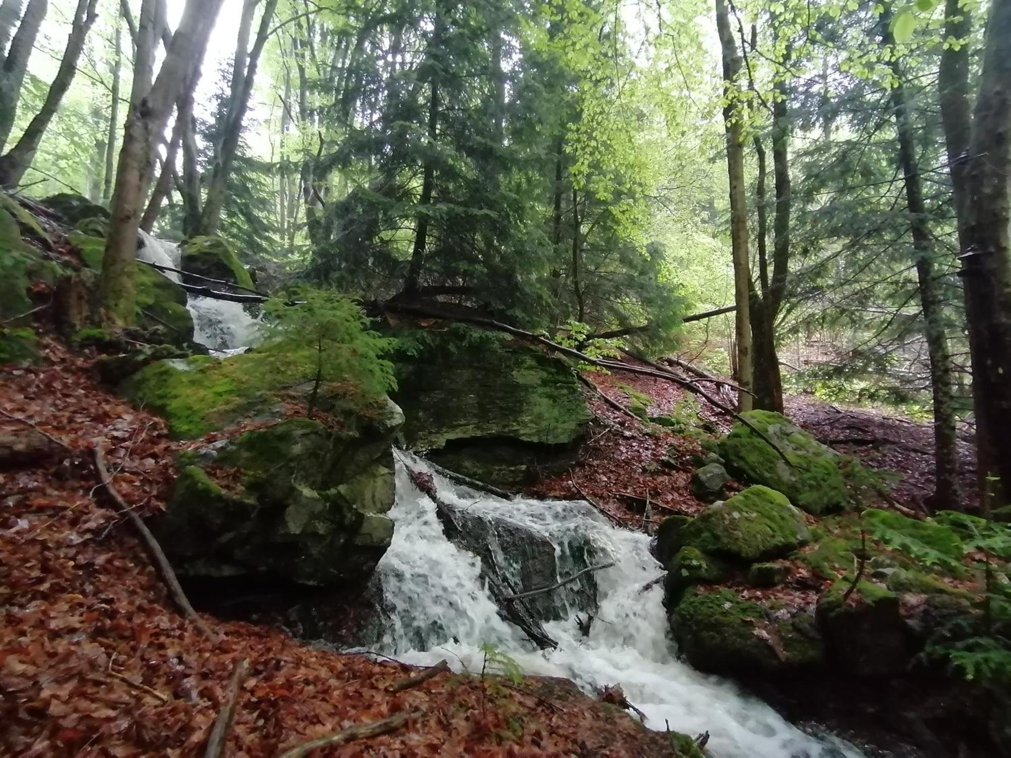 La Fortance Paradis Naturel - Proche De La Ville Planfoy Luaran gambar