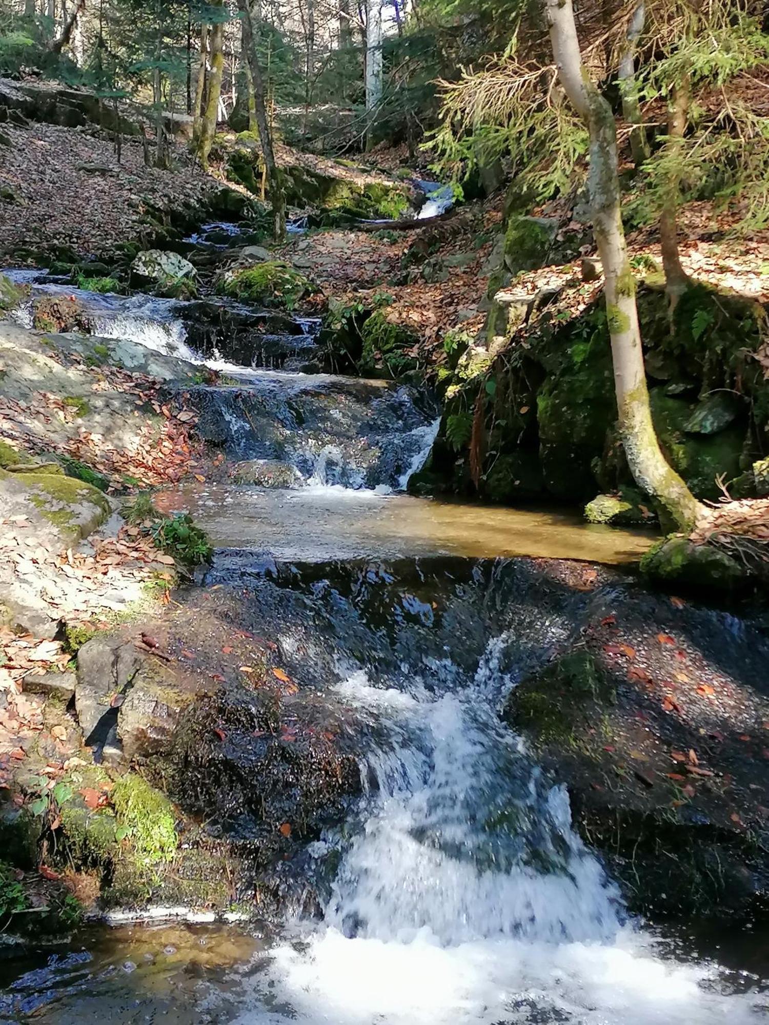 La Fortance Paradis Naturel - Proche De La Ville Planfoy Luaran gambar