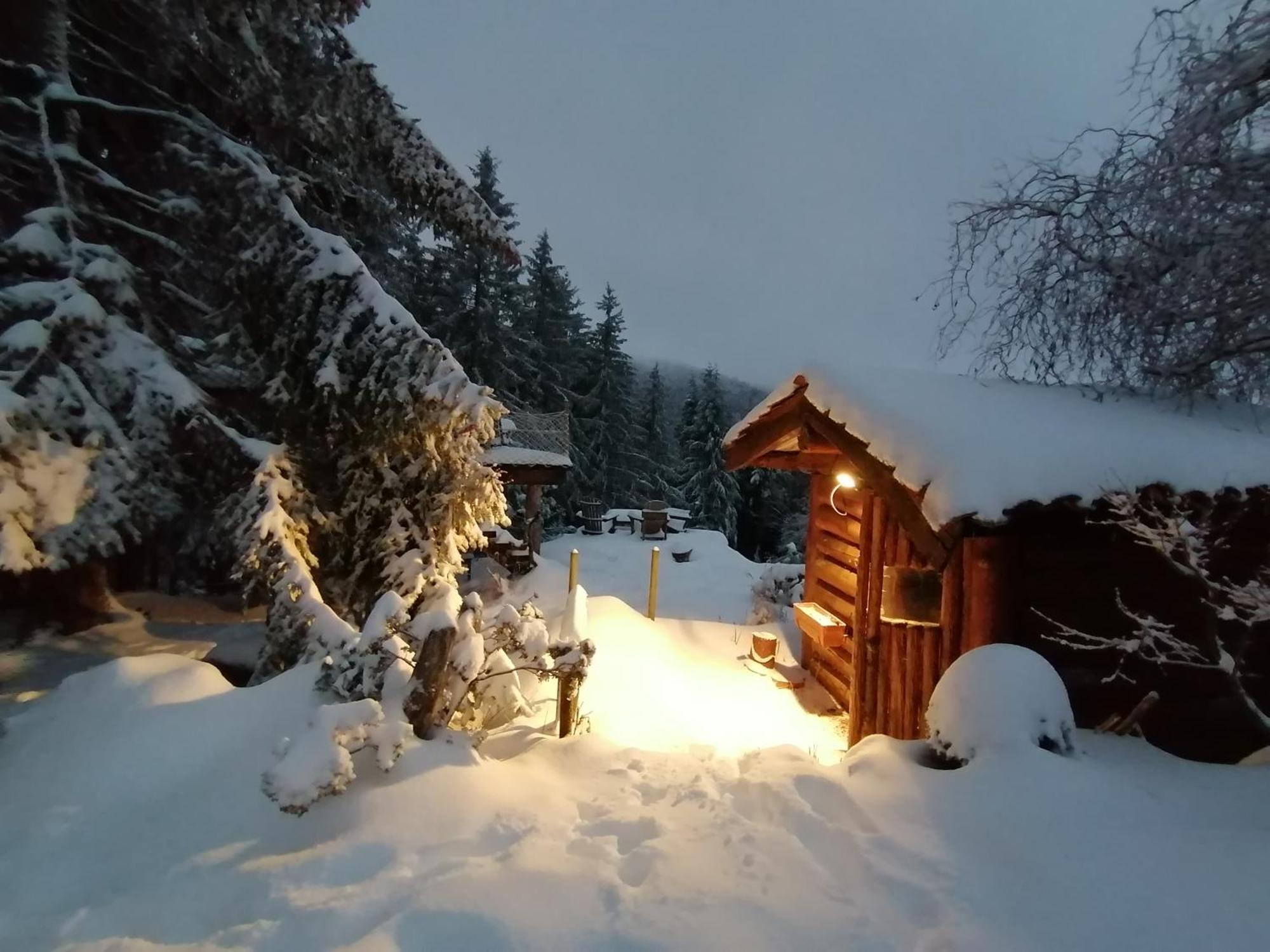 La Fortance Paradis Naturel - Proche De La Ville Planfoy Luaran gambar