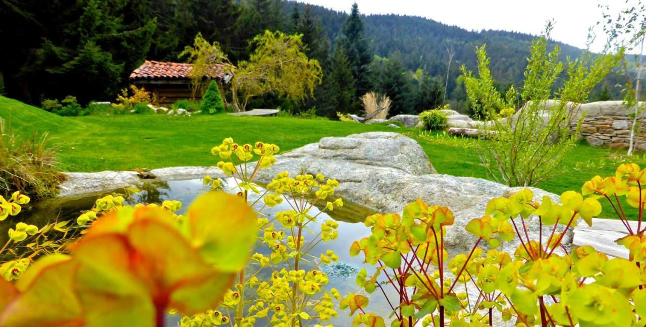 La Fortance Paradis Naturel - Proche De La Ville Planfoy Luaran gambar