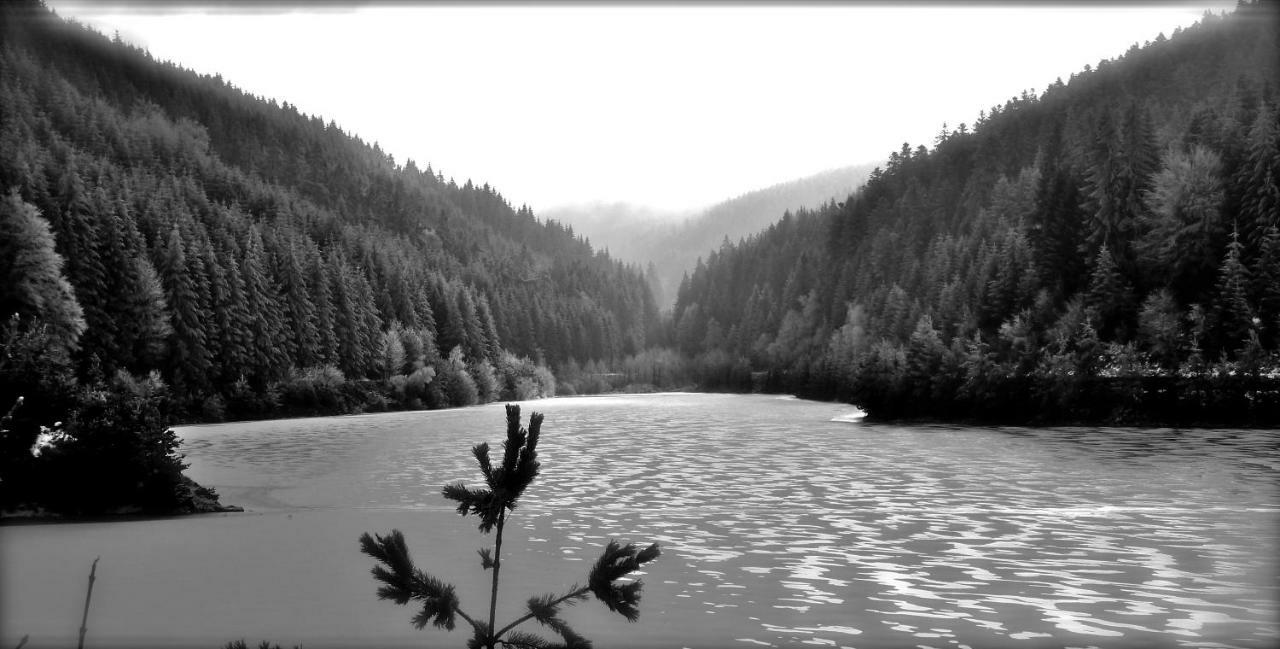 La Fortance Paradis Naturel - Proche De La Ville Planfoy Luaran gambar